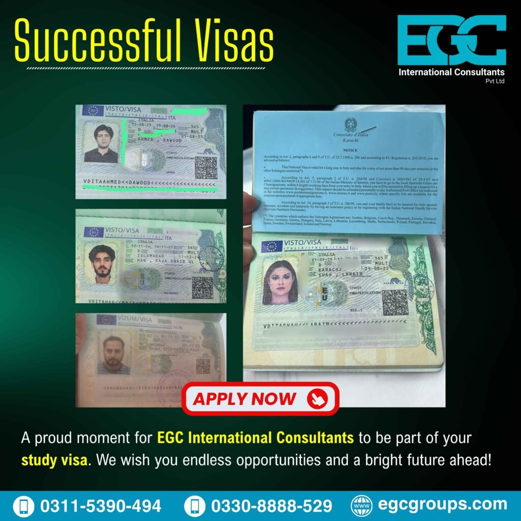 Successful Visas